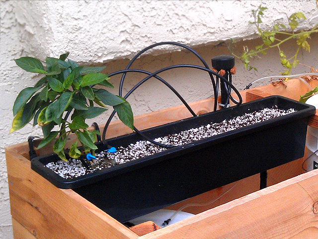 A Simple Hydroponic Drip System DIY