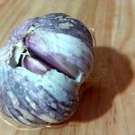 gyo heirloom garlic