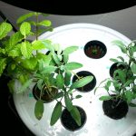 apartment_hydro_001
