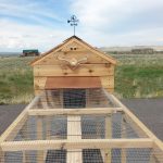 Chicken Coop Wyoming Weather Vane
