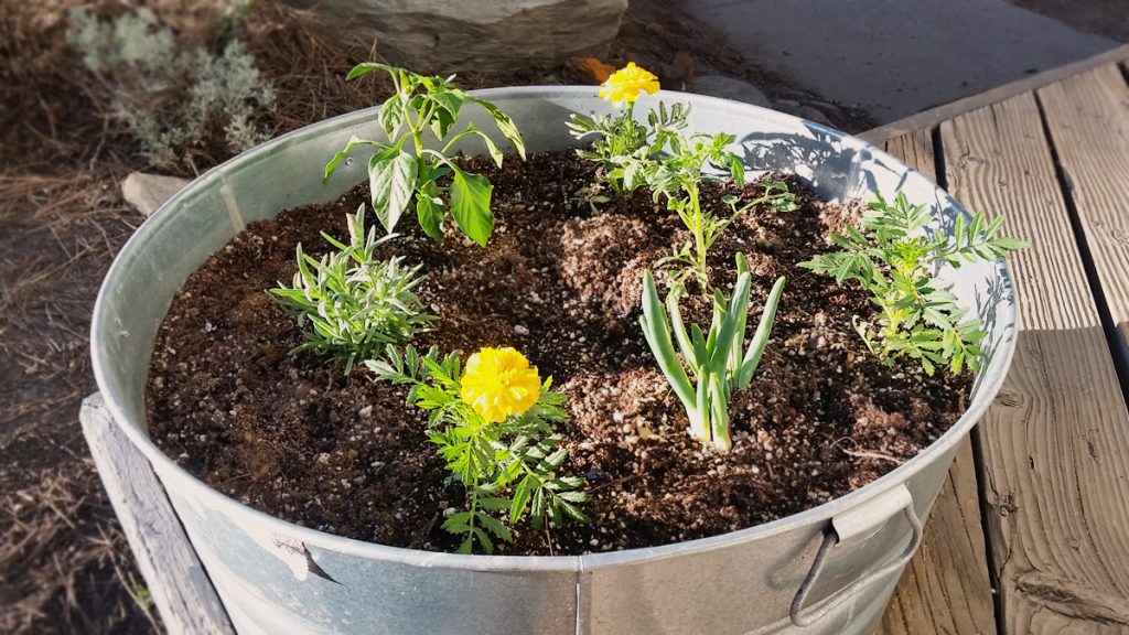 Galvanized Raised Container Garden Bed