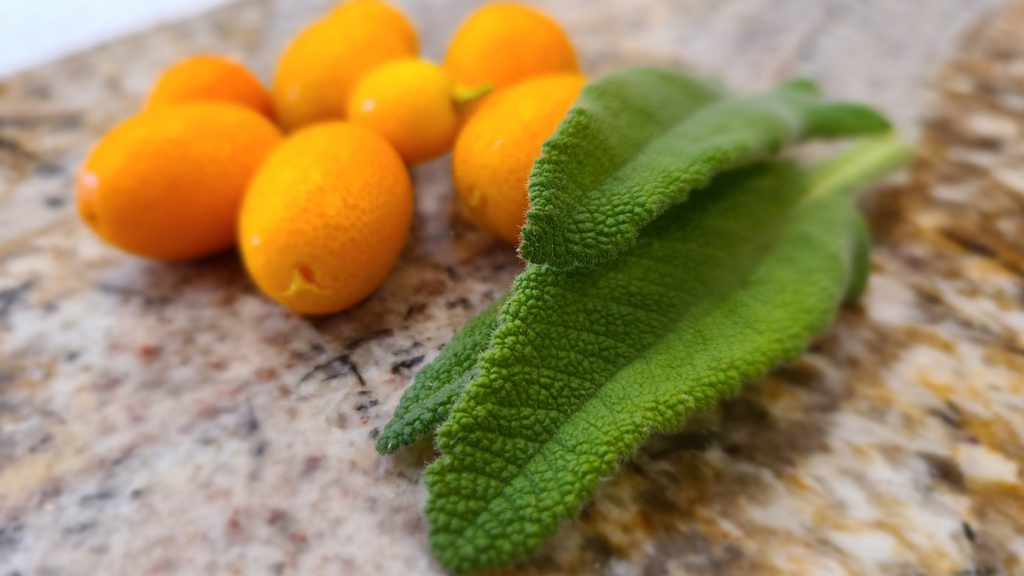 Hummingbird Sage Kumquat Ingredients