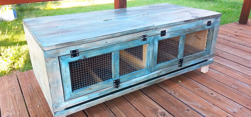 Blue Coturnix Quail Hutch