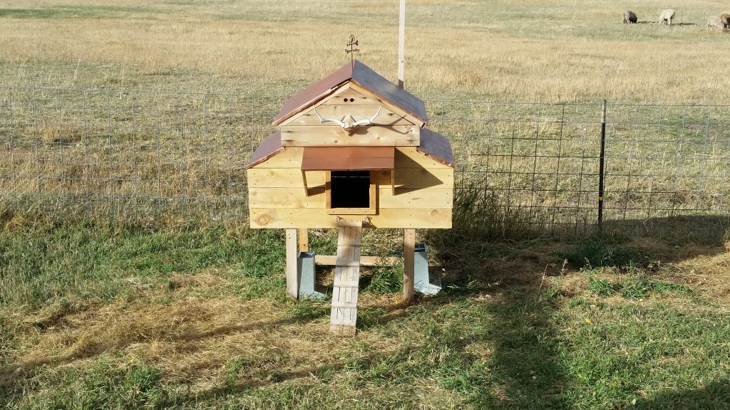 Chicken Coop, Remodeled