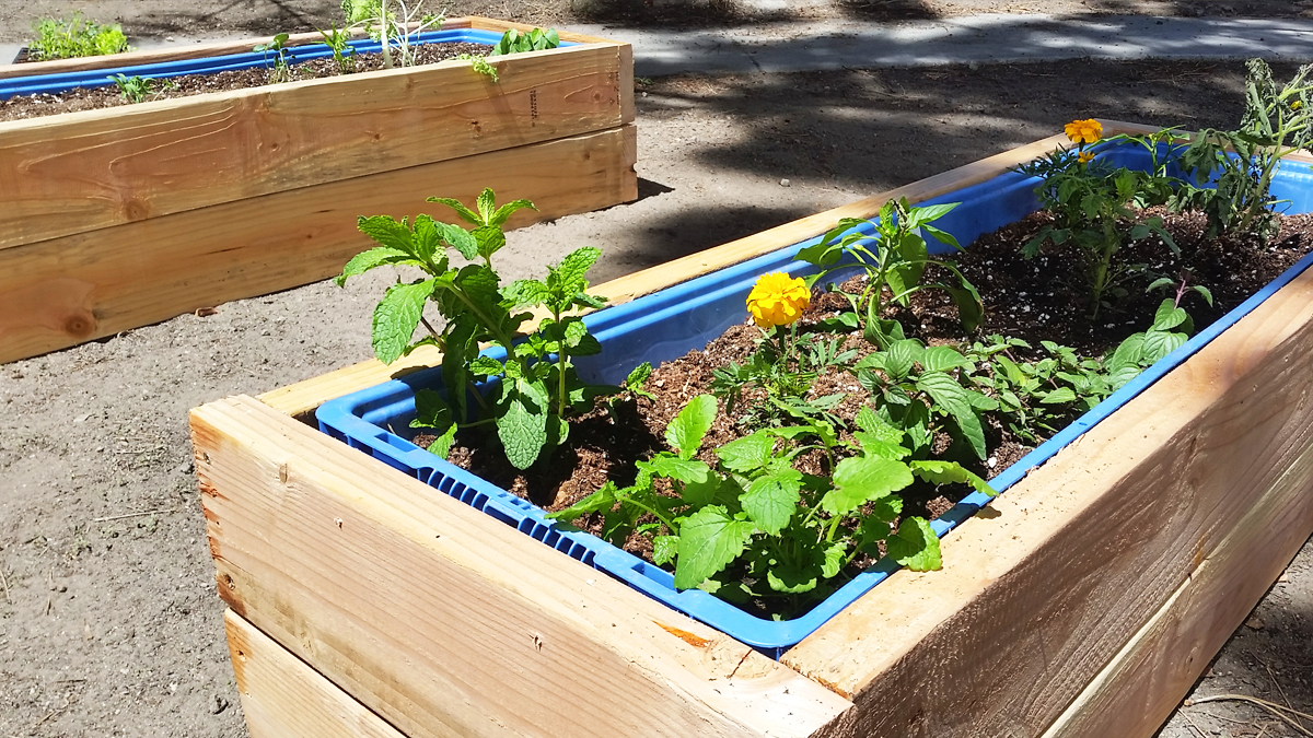 Raised Container Garden Bed